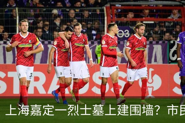 上海嘉定一烈士墓上建围墙？市民呼吁：别压住英烈安息之地；