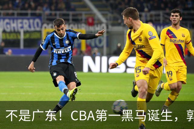 不是广东！CBA第一黑马诞生，郭士强接班人崛起，辽篮惊喜