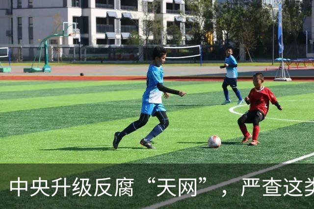 中央升级反腐“天网”，严查这类问题，查到一起处分一起！