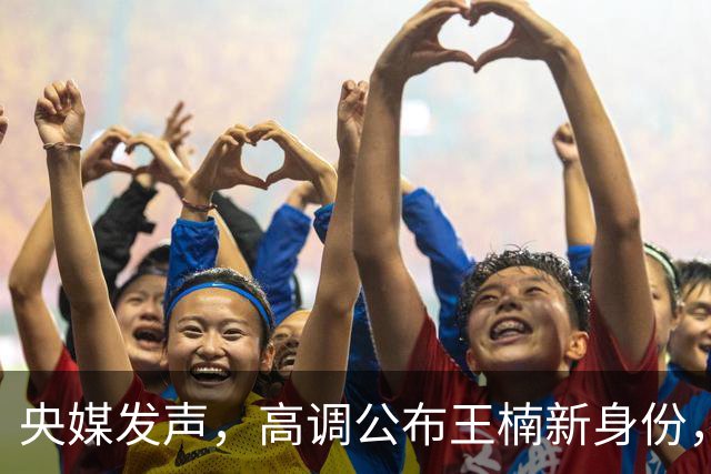 央媒发声，高调公布王楠新身份，资产查封被带走调查传闻早有真相