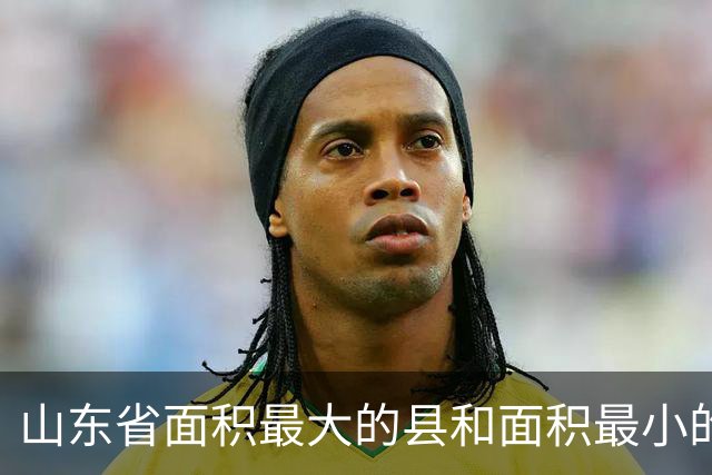 山东省面积最大的县和面积最小的县，分别是谁？