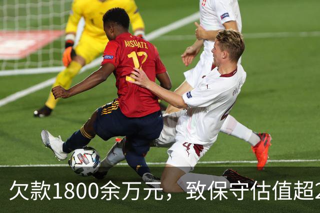 欠款1800余万元，致保守估值超2.5亿元的295套房产被查封3年