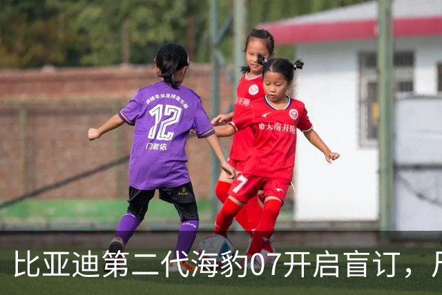 比亚迪第二代海豹07开启盲订，尺寸升级为中大型，小号海豹08竟配备云辇-M！