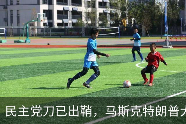 民主党刀已出鞘，马斯克特朗普大难临头