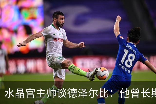 水晶宫主帅谈德泽尔比：他曾长期是我的榜样 向他学习过如何踢球