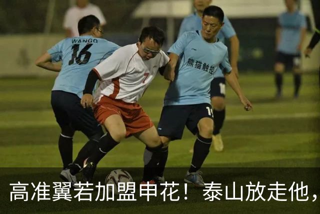 高准翼若加盟申花！泰山放走他，反而有三大好处